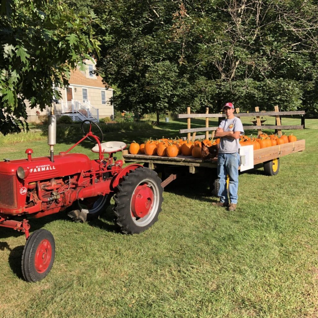 Pumpkin selling with the Farmall Cub